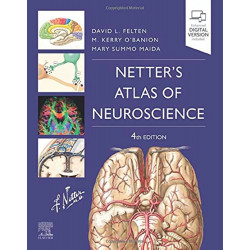 Netters Atlas Of Neuroscience 4Ed (Pb 2022) book by Felten