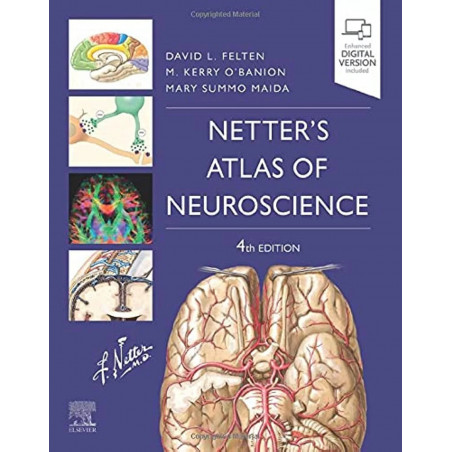 Netters Atlas Of Neuroscience 4Ed (Pb 2022) book by Felten