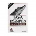 Java Examples In A Nutshell book