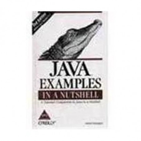 Java Examples In A Nutshell book