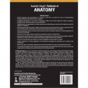 INDERBIR SINGH’S TEXTBOOK OF ANATOMY (VOLUME 2: LOWER LIMB, ABDOMEN AND PELVIS) book by V Subhadra Devi - Additional Image 4