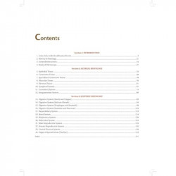 Practical Manual of Histology for Medical Students book by Kote Neelkanth - Additional Image 6