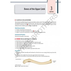 Inderbir Singh's Textbook of Human Osteology with Atlas of Muscle Attachments, 5/E for MBBS 1st Year Students | CBME-aligned… -