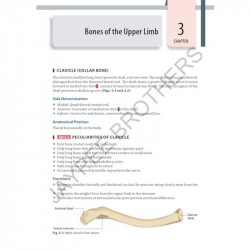 Inderbir Singh's Textbook of Human Osteology with Atlas of Muscle Attachments, 5/E for MBBS 1st Year Students | CBME-aligned… -