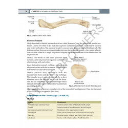 Inderbir Singh's Textbook of Human Osteology with Atlas of Muscle Attachments, 5/E for MBBS 1st Year Students | CBME-aligned… -