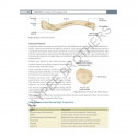 Inderbir Singh's Textbook of Human Osteology with Atlas of Muscle Attachments, 5/E for MBBS 1st Year Students | CBME-aligned… -