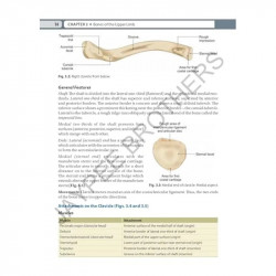 Inderbir Singh's Textbook of Human Osteology with Atlas of Muscle Attachments, 5/E for MBBS 1st Year Students | CBME-aligned… -