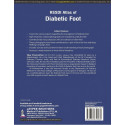 RSSDI Atlas of Diabetic Foot book by Vijay Viswanathan, Ashu Rastogi - Additional Image 3