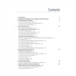 RENAL BIOPSY INTERPRETATION book by Anila Korula - Additional Image 6