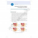 Manual on Urogynecology in Limited-Resource Setup for OBG Postgraduates and Gynecologists | FOGSI AICOG 2026 Guide to Prolap… -