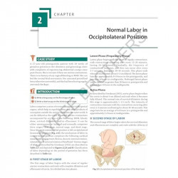 BEDSIDE OBSTETRICS & GYNECOLOGY FOR POSTGRADUATES book by Richa Saxena - Additional Image 8