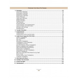 Endoscopic Colour Atlas of Ear Diseases (POD) book by Khan - Additional Image 4