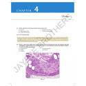 REVIEW OF GYNECOLOGIC AND BREAST PATHOLOGY book by Ivan Damjanov, Semir Vranic - Additional Image 6