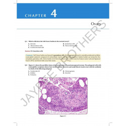 REVIEW OF GYNECOLOGIC AND BREAST PATHOLOGY book by Ivan Damjanov, Semir Vranic - Additional Image 6