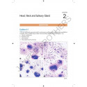 CASE-BASED APPROACH IN FINE NEEDLE ASPIRATION CYTOLOGY book by Dey Pranab - Additional Image 5