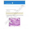 REVIEW OF GYNECOLOGIC AND BREAST PATHOLOGY book by Ivan Damjanov, Semir Vranic - Additional Image 7