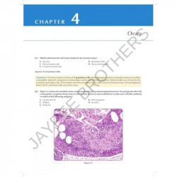 REVIEW OF GYNECOLOGIC AND BREAST PATHOLOGY book by Ivan Damjanov, Semir Vranic - Additional Image 7