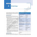 Essentials of Microbiology for Postgraduates (Vol 1: General Bacteriology) for MD and DNB Microbiology Residents | Bacterial… -