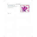Atlas of Hematology (POD) book by Saxena - Additional Image 8