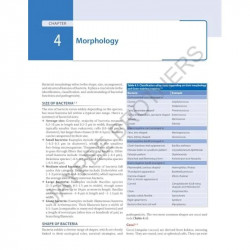 Essentials of Microbiology for Postgraduates (Vol 1: General Bacteriology) for MD and DNB Microbiology Residents | Bacterial… -