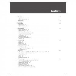 MEMORIZE book by Selvarajan, Dhileepan Ramalingam , Vidyasagar Iyer, Vishwanath - Additional Image 6