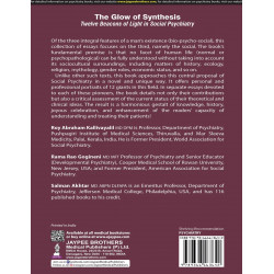 The Glow of Synthesis: Twelve Beacons of Light in Social Psychiatry | Critical Biographical Essays on 12 Founding Figures fo… -