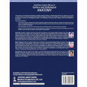 ILLUSTRATIVE PRACTICE MANUAL OF SURFACE AND RADIOLOGICAL ANATOMY book by Anita Tuli, Shashi Raheja - Additional Image 4