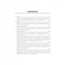 Alternative Therapies for Medical Professionals book by Vignesvaran - Additional Image 3