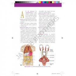 JAYPEE'S DENTAL DICTIONARY book by Gupta Priya Verma - Additional Image 5