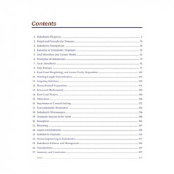 Advanced Endodontics book by Rao - Additional Image 3