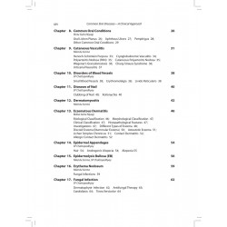 COMMON SKIN DISEASES:A CLINICAL APPROACH book by Chattopadhyay Brig.Sp - Additional Image 7