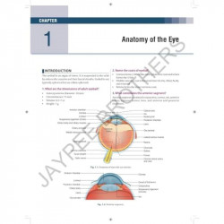Exam Preparatory Manual for Undergraduates: Ophthalmology book by K Mohan Raj - Additional Image 8