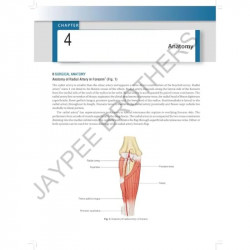 FREE RADIAL ARTERY FOREARM FLAP FOR HEAD AND NECK RECONSTRUCTION: A COLOR ATLAS book by Dipen D Amlani,Girish N ; Patel - Additi