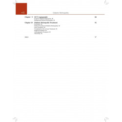 Diabetic Retinopathy (POD) book by Lumbroso Bruno - Additional Image 7