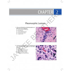 SOFT TISSUE AND BONE PATHOLOGY A QUESTION AND ANSWER BASED REVIEW book by Boto Agedi - Additional Image 6