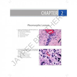 SOFT TISSUE AND BONE PATHOLOGY A QUESTION AND ANSWER BASED REVIEW book by Boto Agedi - Additional Image 7