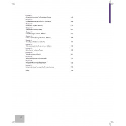 Bone and Soft Tissue Tumors book by Bocklage J Therese - Additional Image 7