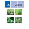 Illustrated Textbook of Indian Medicinal Plants in Dermatology for BAMS and MD Ayurveda Students | Practical Point-of-Care R… -