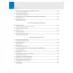 Critical Care Pearls: Case-based Discussions for DM/DrNB Critical Care Fellows and Intensivists | 51 ICU Cases in Q&A Format… -