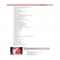 TEXTBOOK OF PEDIATRIC ORAL PATHOLOGY book by Masthan - Additional Image 7