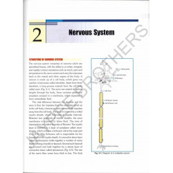 ESSENTIALS OF LOCAL ANESTHESIA WITH MCQS book by Ghorpade - Additional Image 7