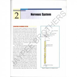 ESSENTIALS OF LOCAL ANESTHESIA WITH MCQS book by Ghorpade - Additional Image 8