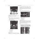 MCQs in Pain Medicine, 2/e | Over 2100 MCQs (PB 2026) book by Chinmoy Roy, Debjyoti Dutta - Additional Image 7