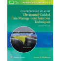 COMPREHENSIVE ATLAS OF ULTRASOUND GUIDED PAIN MANAGEMENT INJECTION TECHNIQUES 2ED (HB 2020) book by Steven Waldman