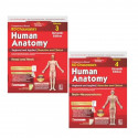 B D Chaurasia's Human Anatomy, Vols. 3 & 4 Set, 11th Edition | Regional and Applied Dissection and Clinical Anatomy: Head an… -