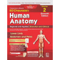 B D Chaurasia's Human Anatomy Vol. 2, 11th Edition | Regional and Applied Dissection and Clinical : Lower Limb, Abdomen and…