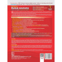 B D Chaurasia's Human Anatomy, Vol. 1, 11th Edition | Regional and Applied Dissection and Clinical : Upper Limb and Thorax w… -