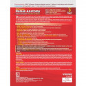 B D Chaurasia's Human Anatomy, Vols. 3 & 4 Set, 11th Edition | Regional and Applied Dissection and Clinical Anatomy: Head an… -
