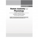 HUMAN ANATOMY AND PHYSIOLOGY THEORY AND PRACTICAL FOR DIPLOMA IN PHARMACY STUDENTS 2ED (PB 2025) book by GARG K - Additional Ima
