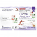 Companion Workbook for Textbook of Human Anatomy, Volumes 5 and 6 , Dissection-Hall Learning Activity(PB- 2023) book by YOGE… -